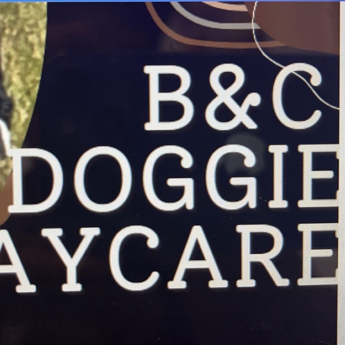 B & C Doggie Daycare, 10332 S Wallace St, Chicago, 60628