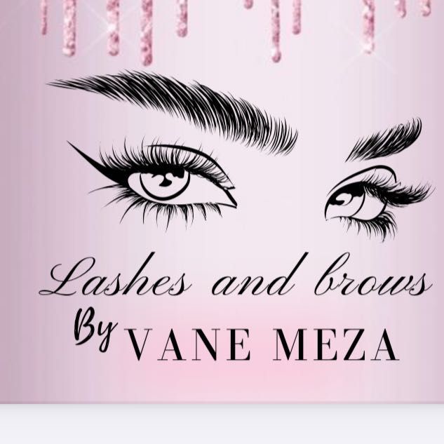 Lashes and brows By vane, 456 N Collins St, Joliet, 60432