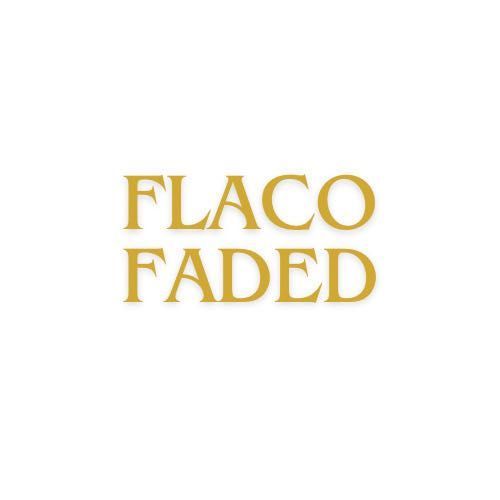 Flaco_faded, 820 Kohn St, Norristown, 19401