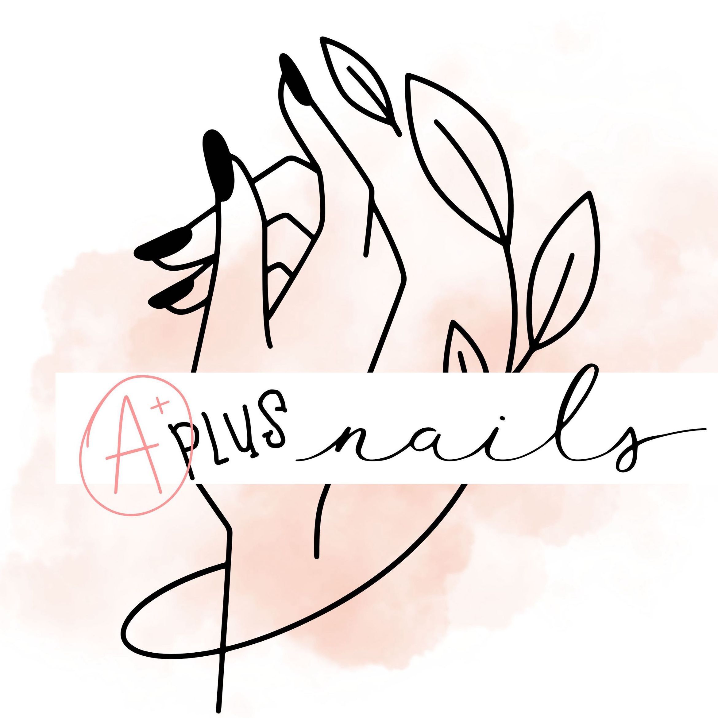 Aplus Nails, Poe Farm Ave, Apex, 27502