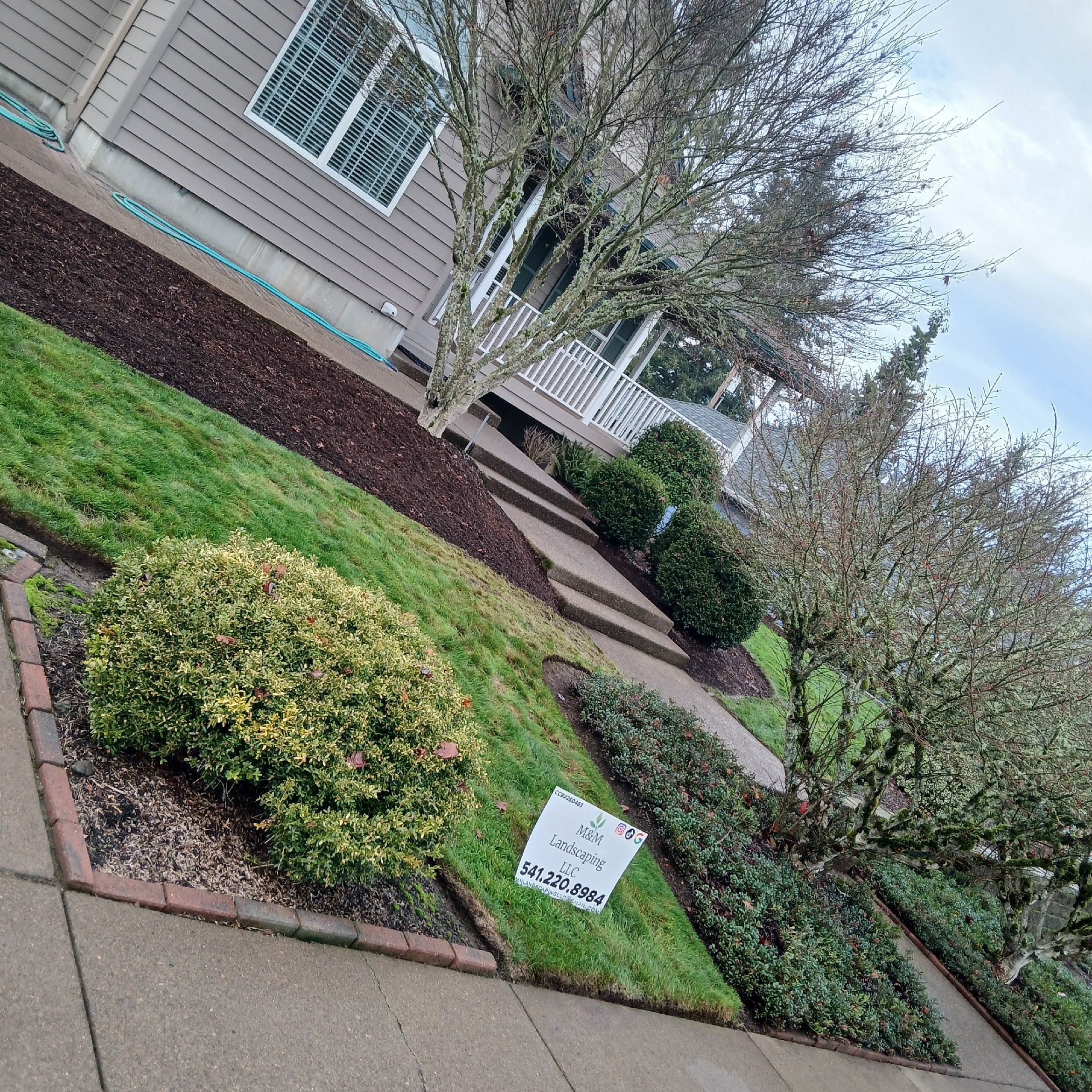 M&M Landscaping LLC CCB, 3641 Chicago St SE, Albany, 97322