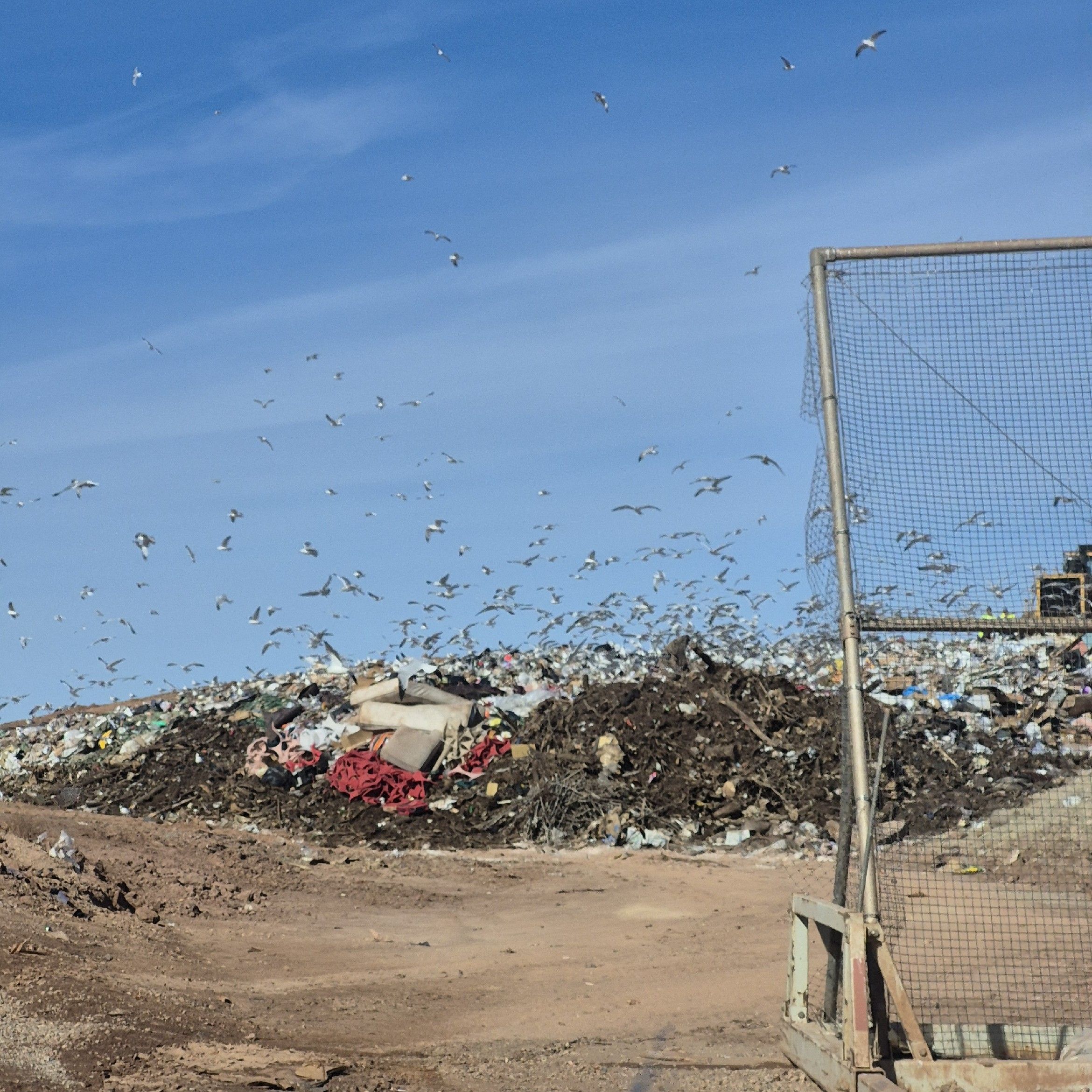 Trash Pandas And Haulers, Wichita Falls, 76305