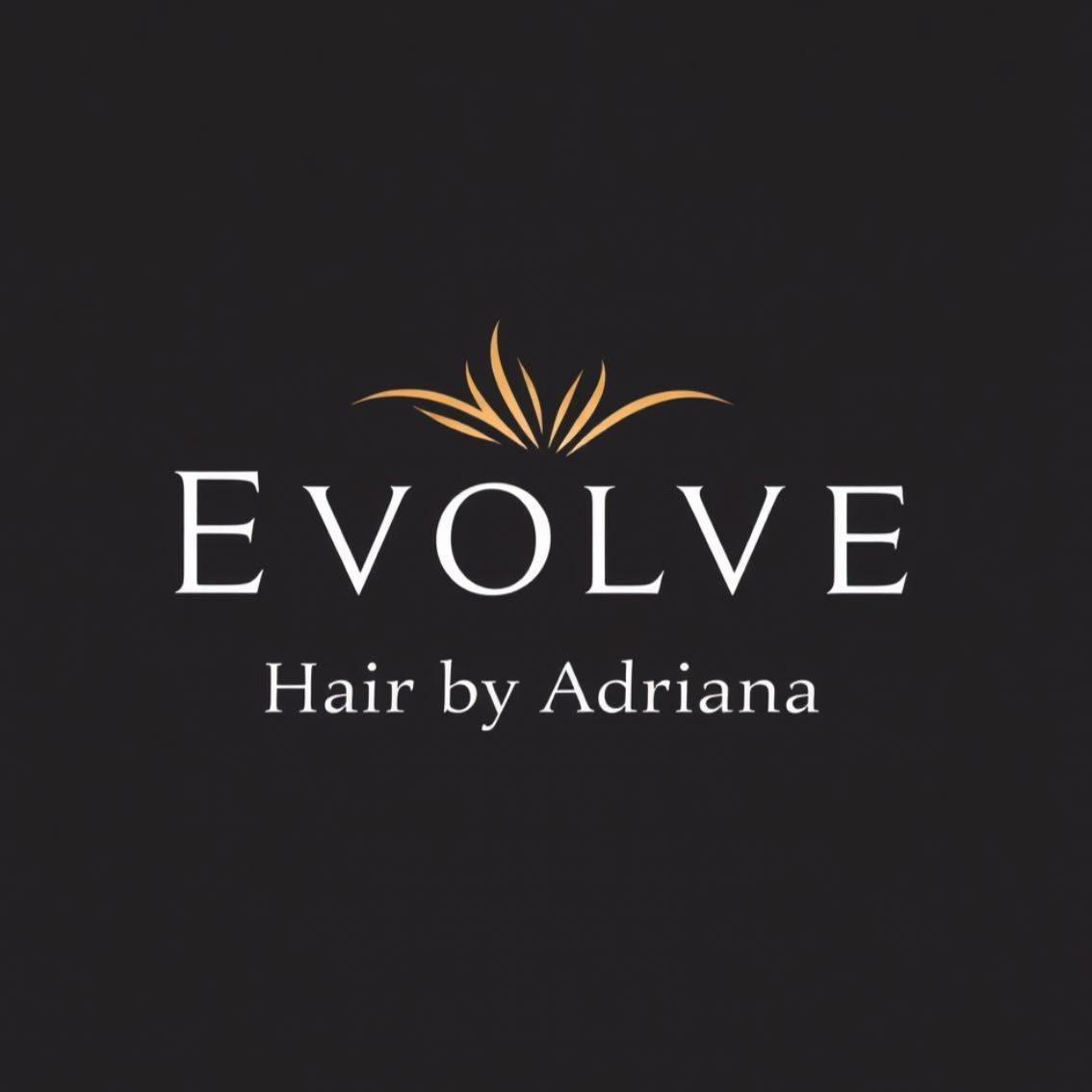 Evolve, 6715 lockwood ridge rd, Apt 210, Sarasota, 34243