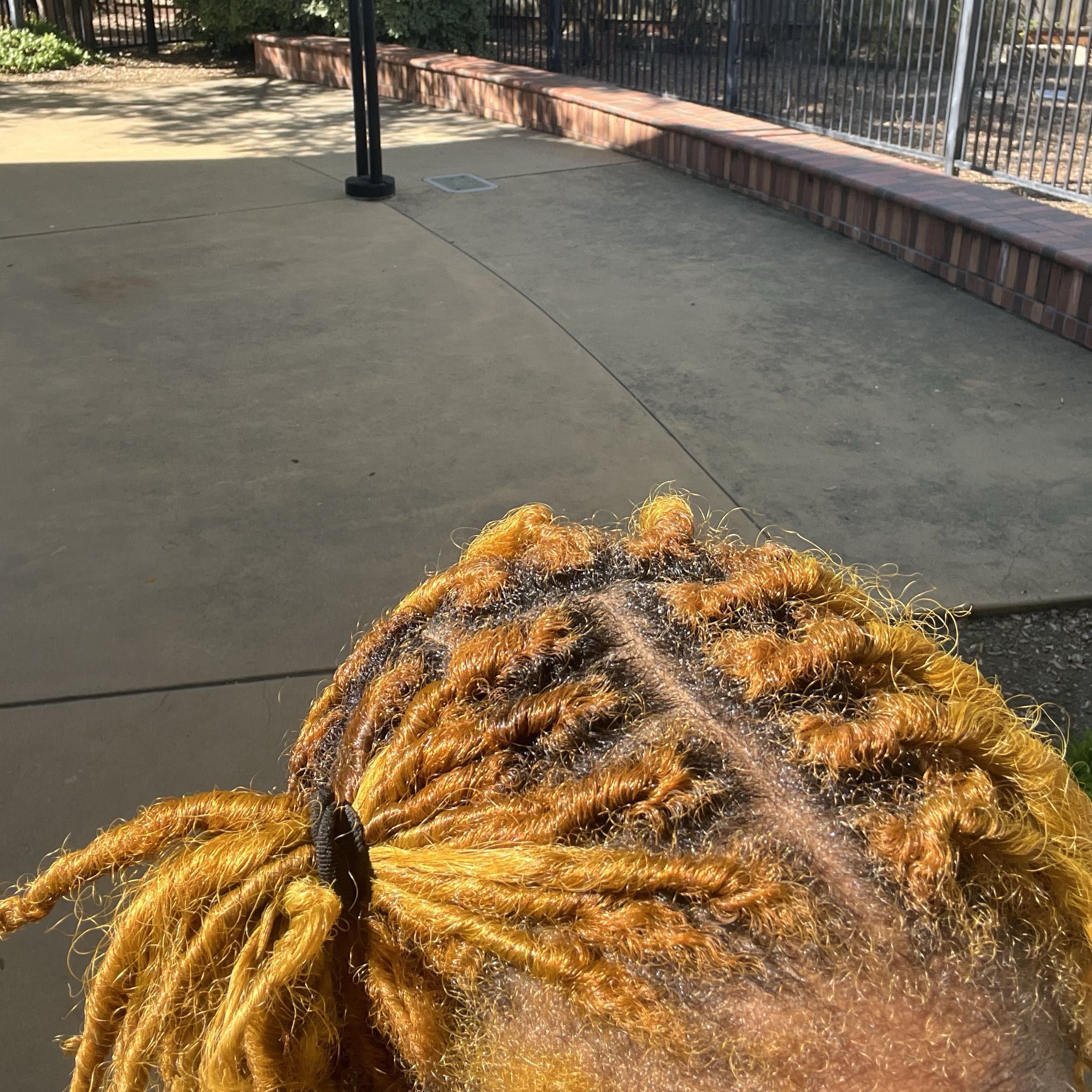 eshan’ta locs, chesbro avenue, San Jose, 95123