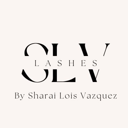 SLVLashes, 6617 Thatcher Ave N, Tampa, 33614