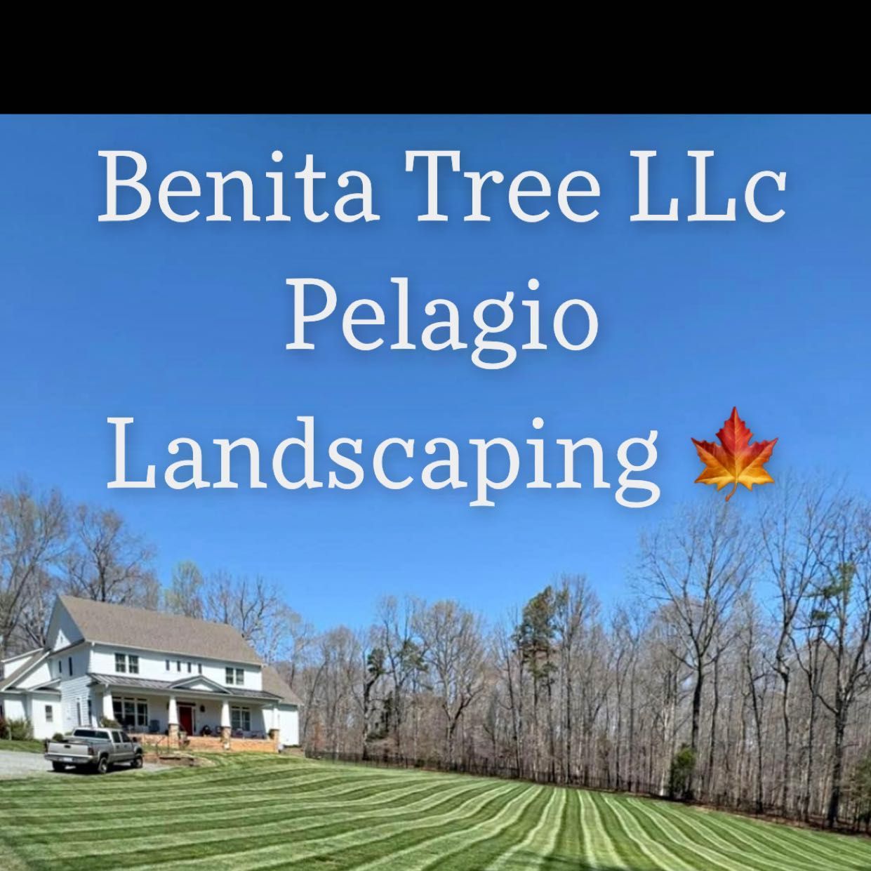 Benita tree llc pelagio landscaping, 6144 Service Rd, Yadkinville, 27055