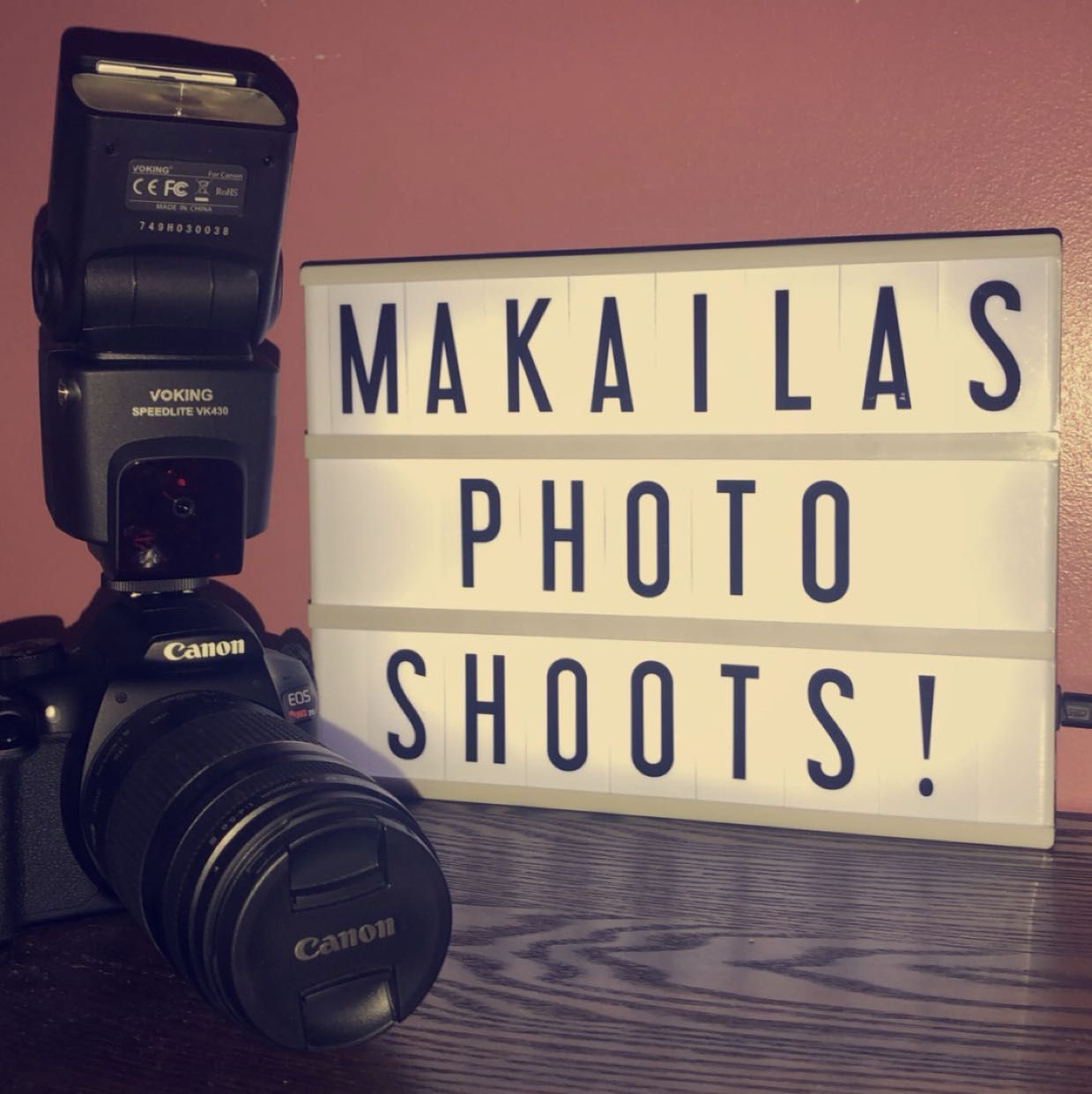 Makaila Lynn Photography, 65 County Road 30A, Jeromesville, 44840