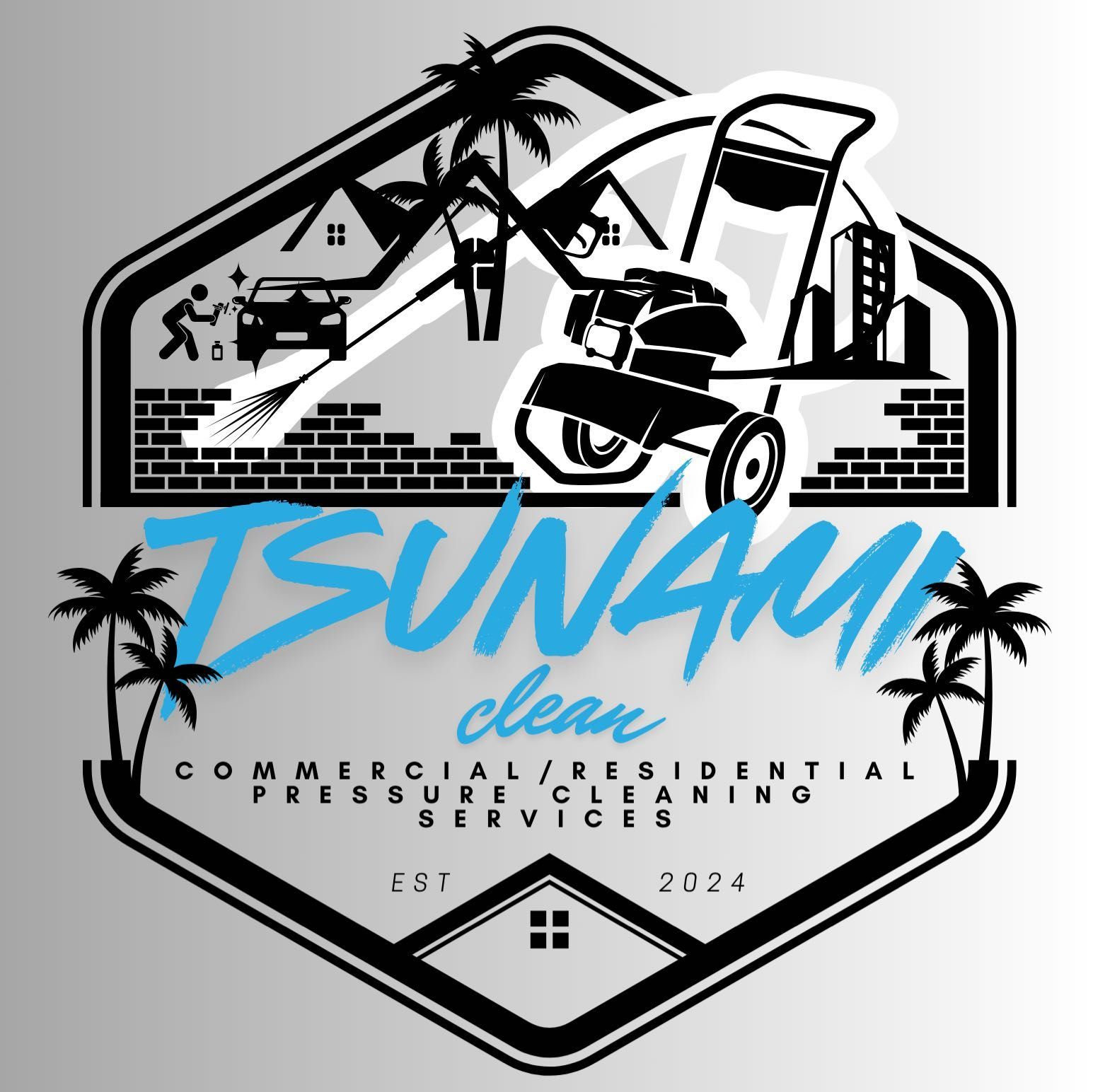 Tsunami Clean, Tallahassee, 32301