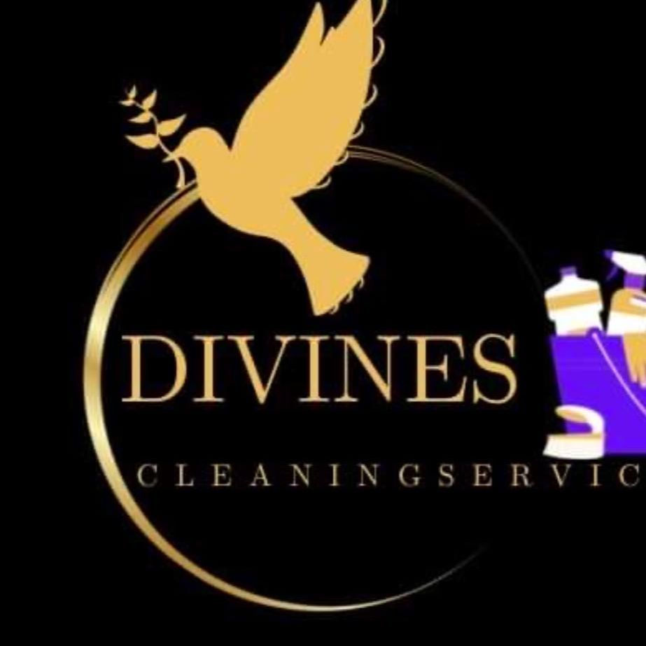 Divine Hands Cleaning Services, Kissimmee, 34759