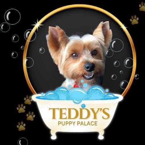 Teddys Puppy Palace, N/A, Boynton Beach, 33426