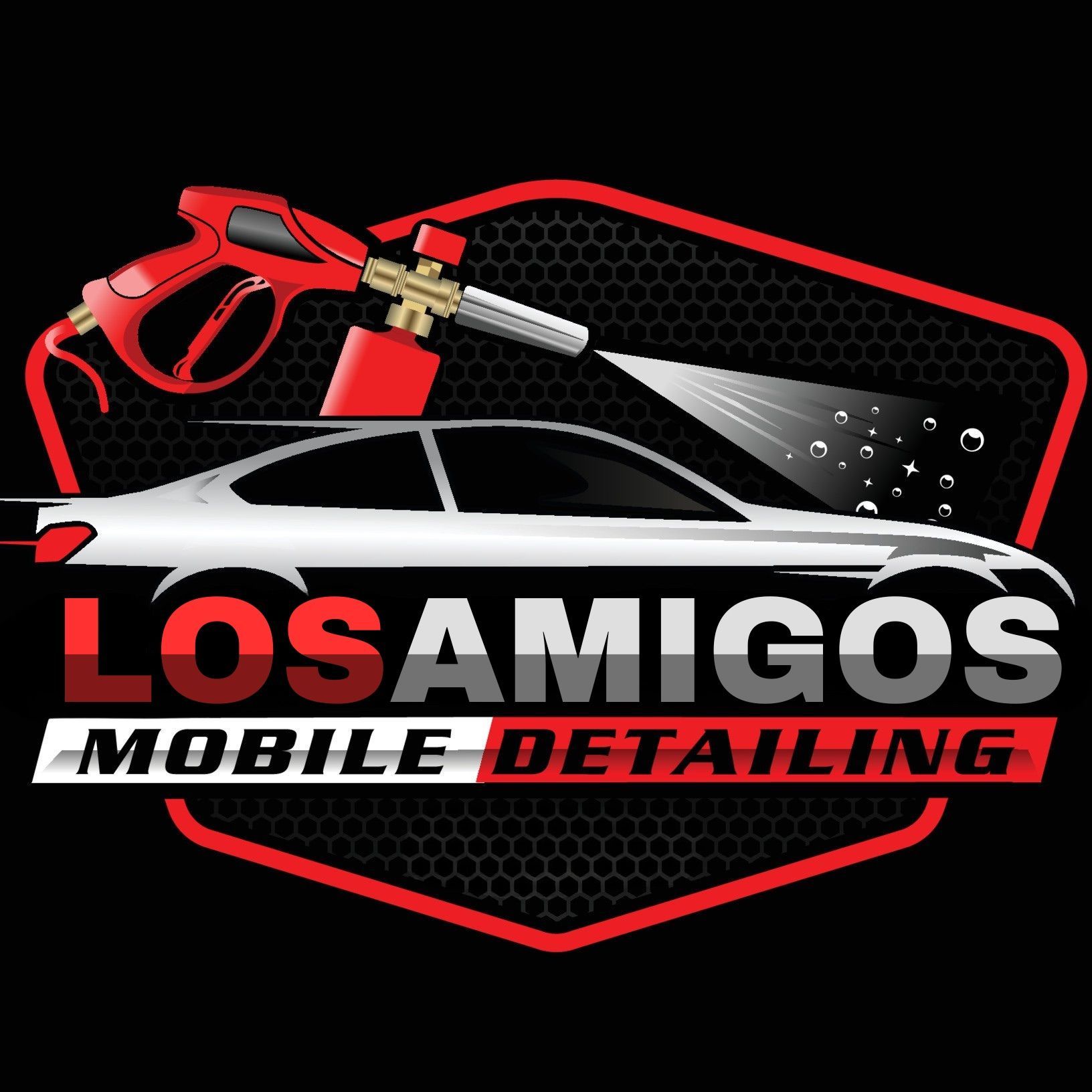 LosAmigosCarDetailing, Monroe, 48162