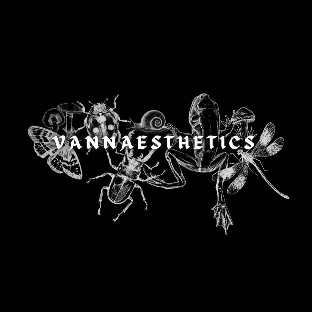 Vannaesthetics, 13121 NW Military Hwy, San Antonio, 78231