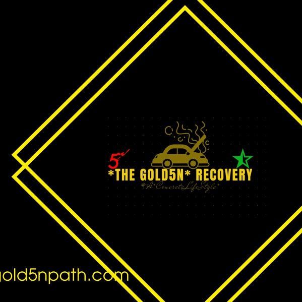 The Gold5n Recovery LLC, 13220 Woodward Ave, Highland Park, 48203