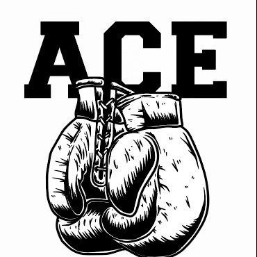 Ace Fitness & Boxing, 1292 Old Skokie Rd, Ste 2, Highland Park, 60035