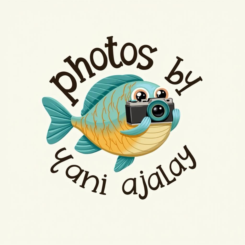 Ajalay Photography Innovations, Wesley Chapel, 33543