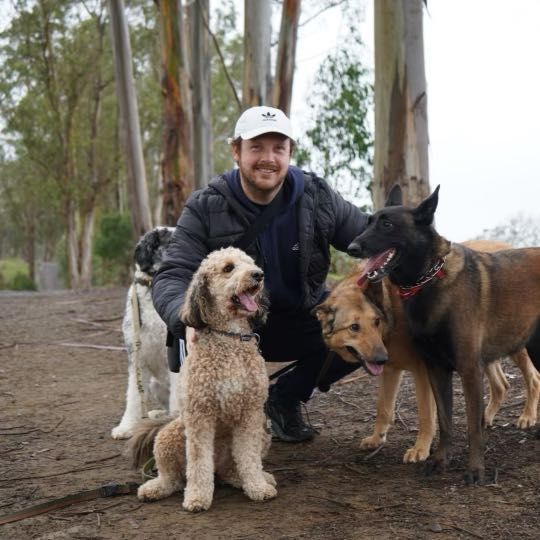 Michael’s Dog Services, 1306 3rd St, San Rafael, 94901