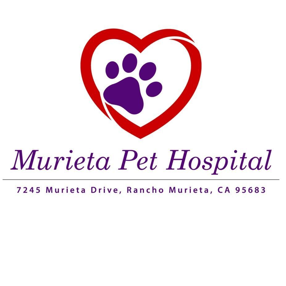 Murieta Pet Hospital, 7245 Murieta Dr, Sloughhouse, 95683