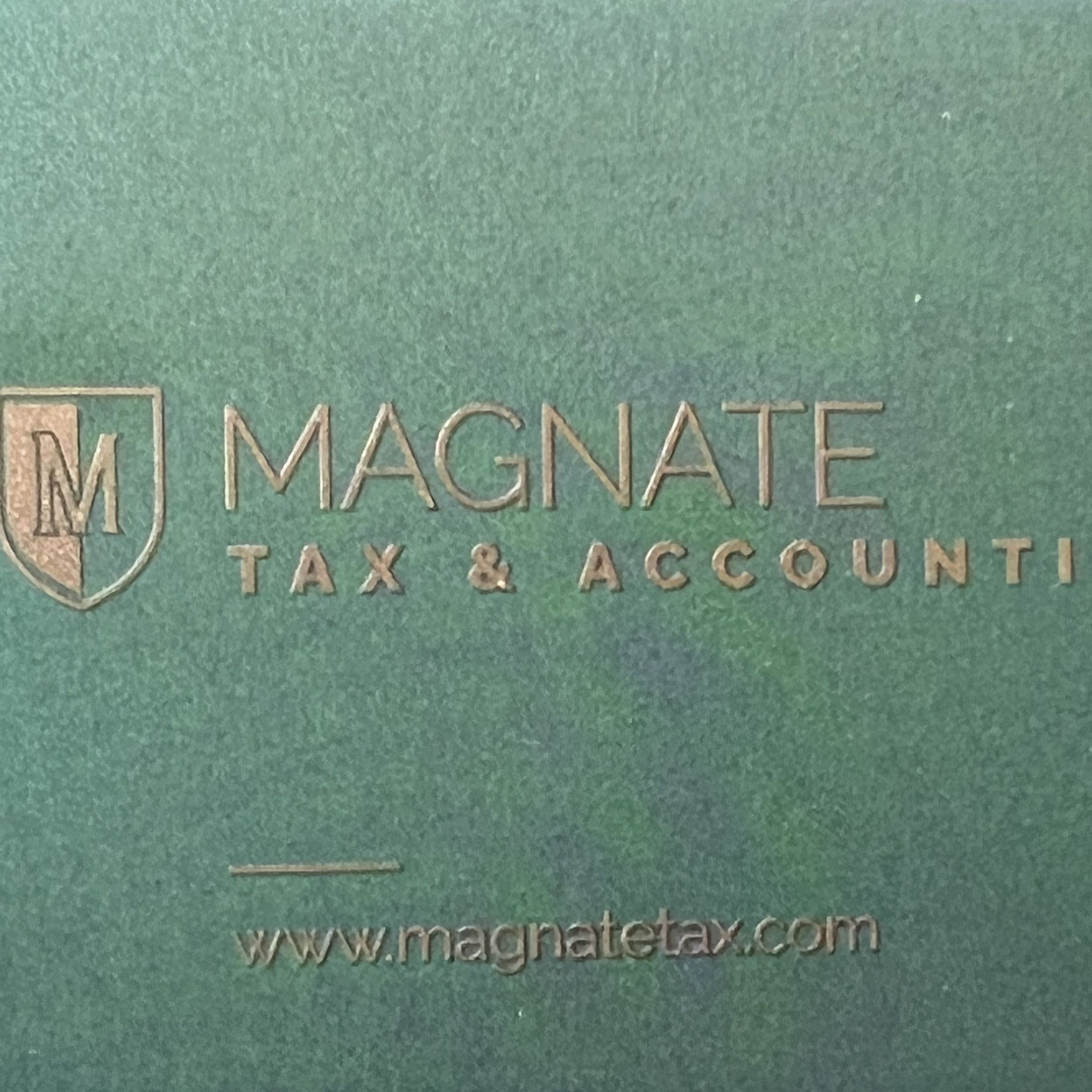 Magnate Tax & Accounting Services, 2223 Bright Sunrise Trl, Fresno, 77545