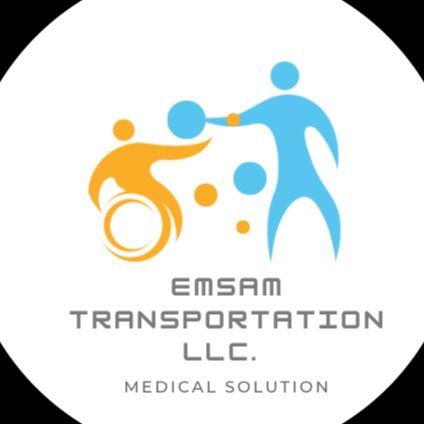 Emsam Transportation LLC., Annerino Dr, Bolingbrook, 60440