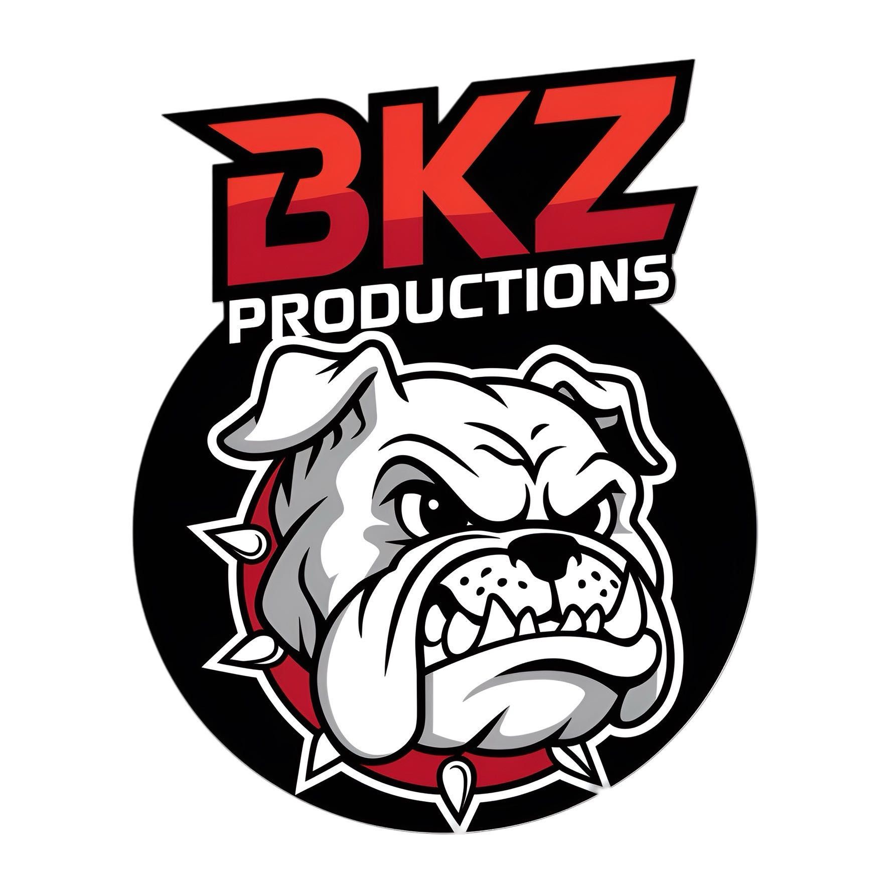 BKZ Productions, 3750  investment ln, Suite 1, West Palm Beach, 33404