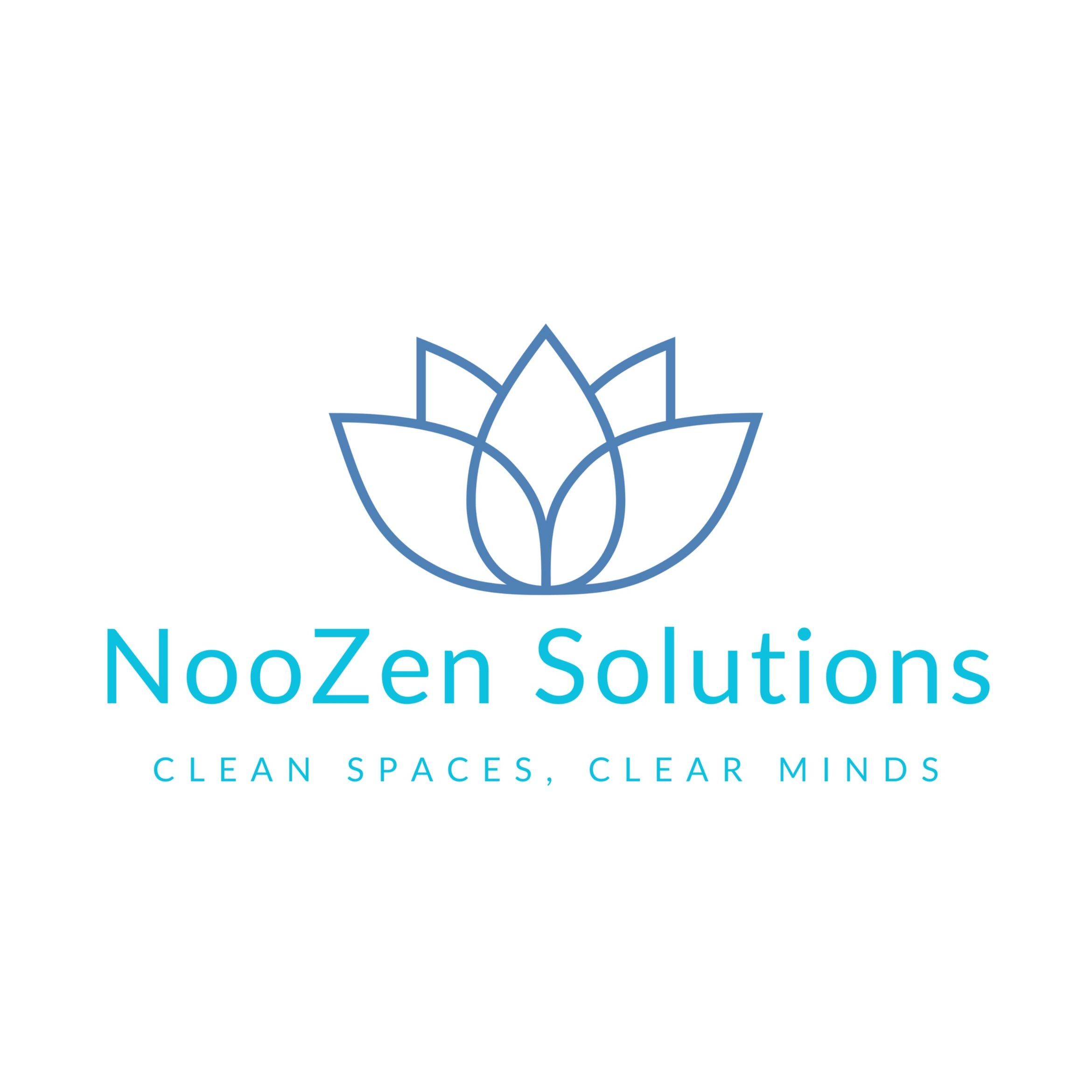 NooZen Solutions, Rochester, 14620