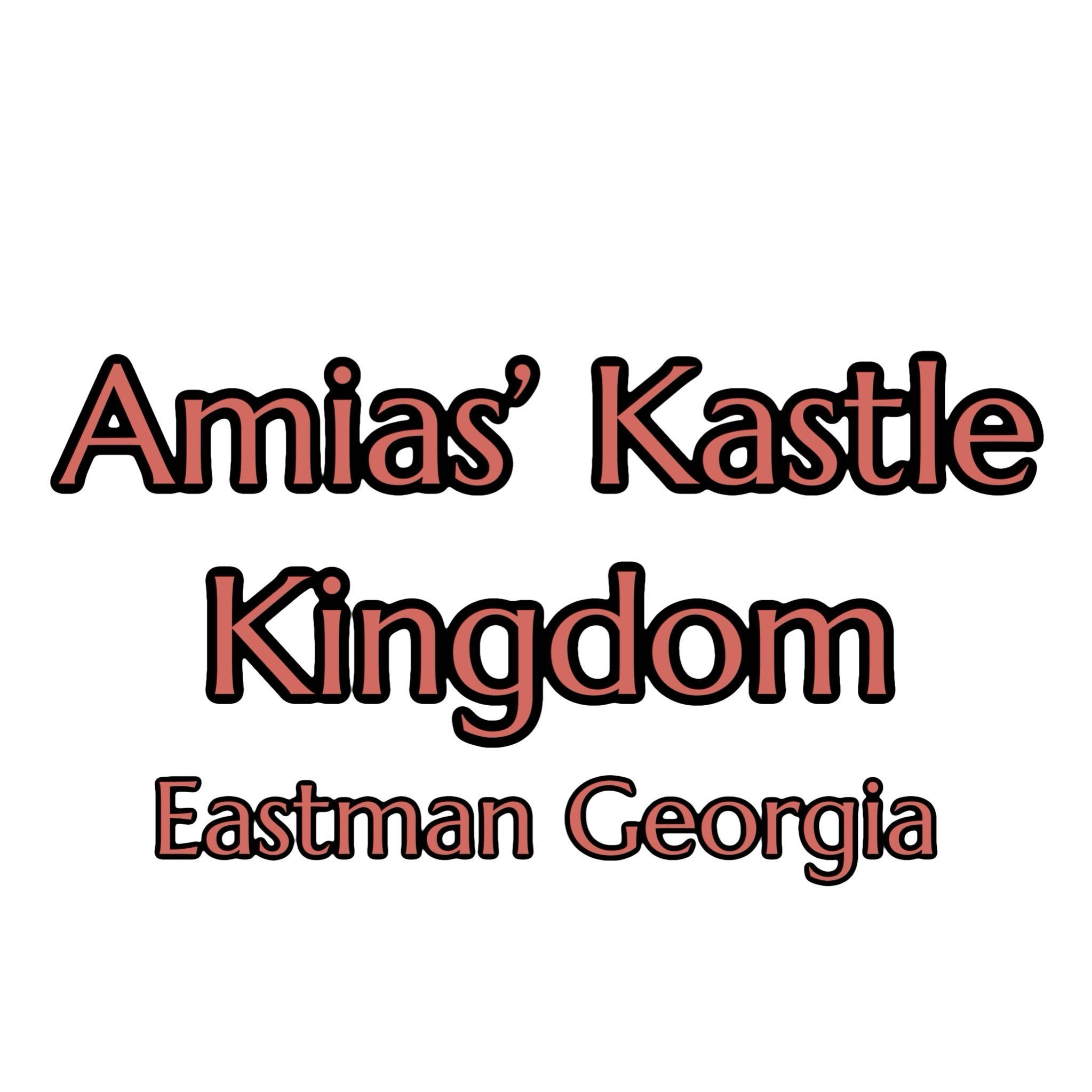 Amias Kastle Kingdom, 1461 Coffee Flanders Rd, Eastman, 31023