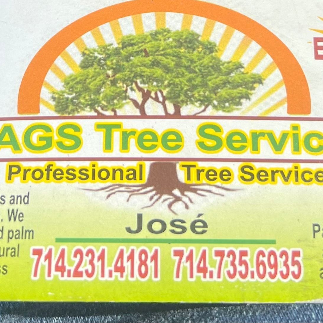 JAGS Tree Services, Anaheim, 92804