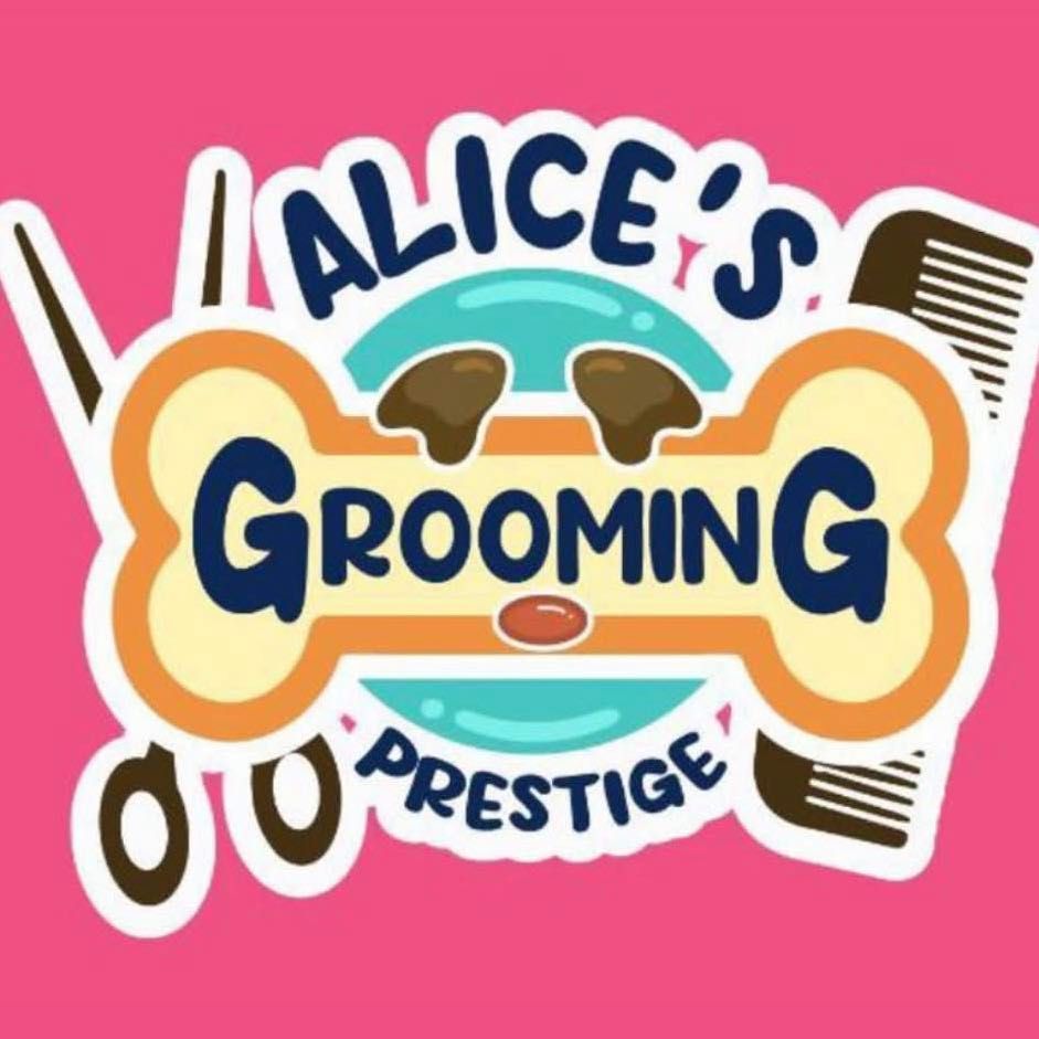 Alice mobile pet dog grooming prestige, Houston, 77042