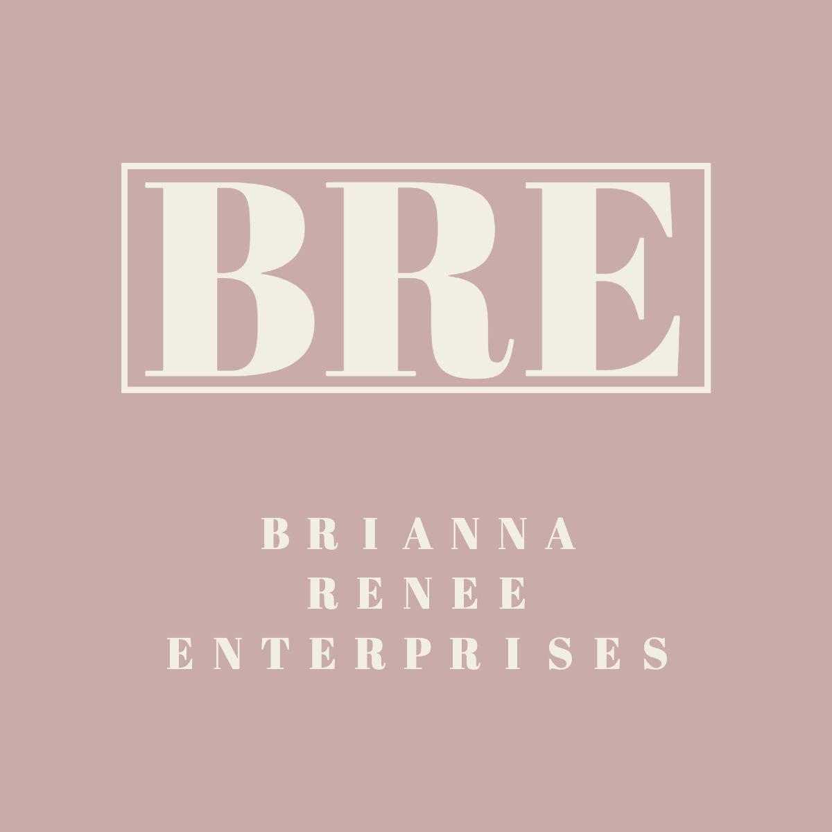 Brianna Renee Enterprises, Apollo Beach, 33572