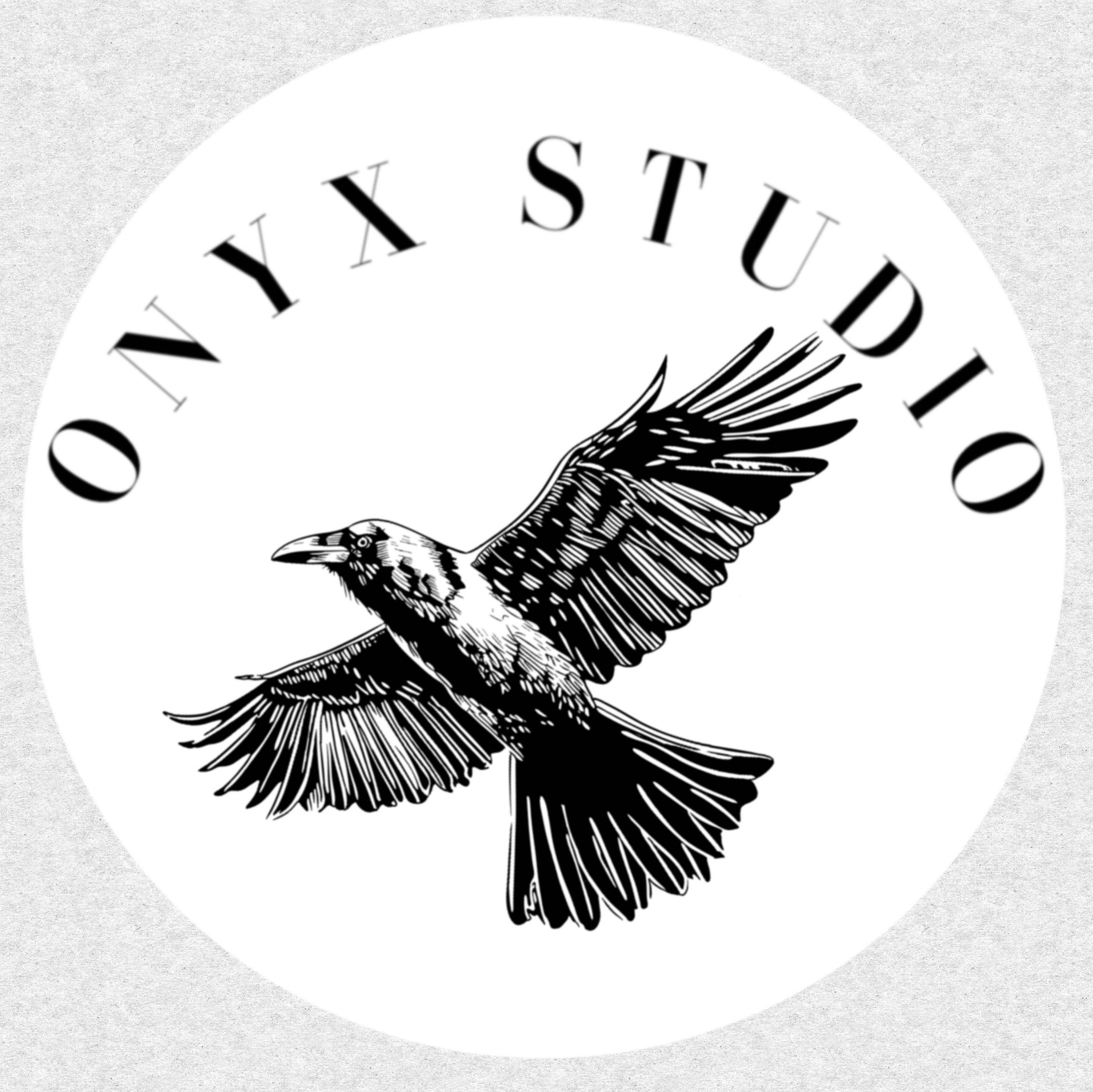 Onyx Studio, 407 Radio City Dr, North Pekin, 61554