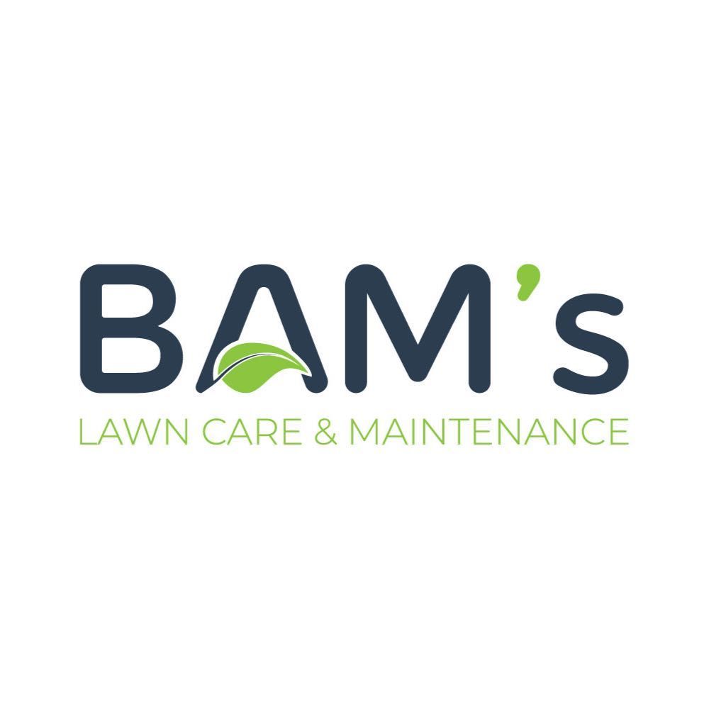 BAMs Lawn and Maintenance, Niagara Falls, 14305