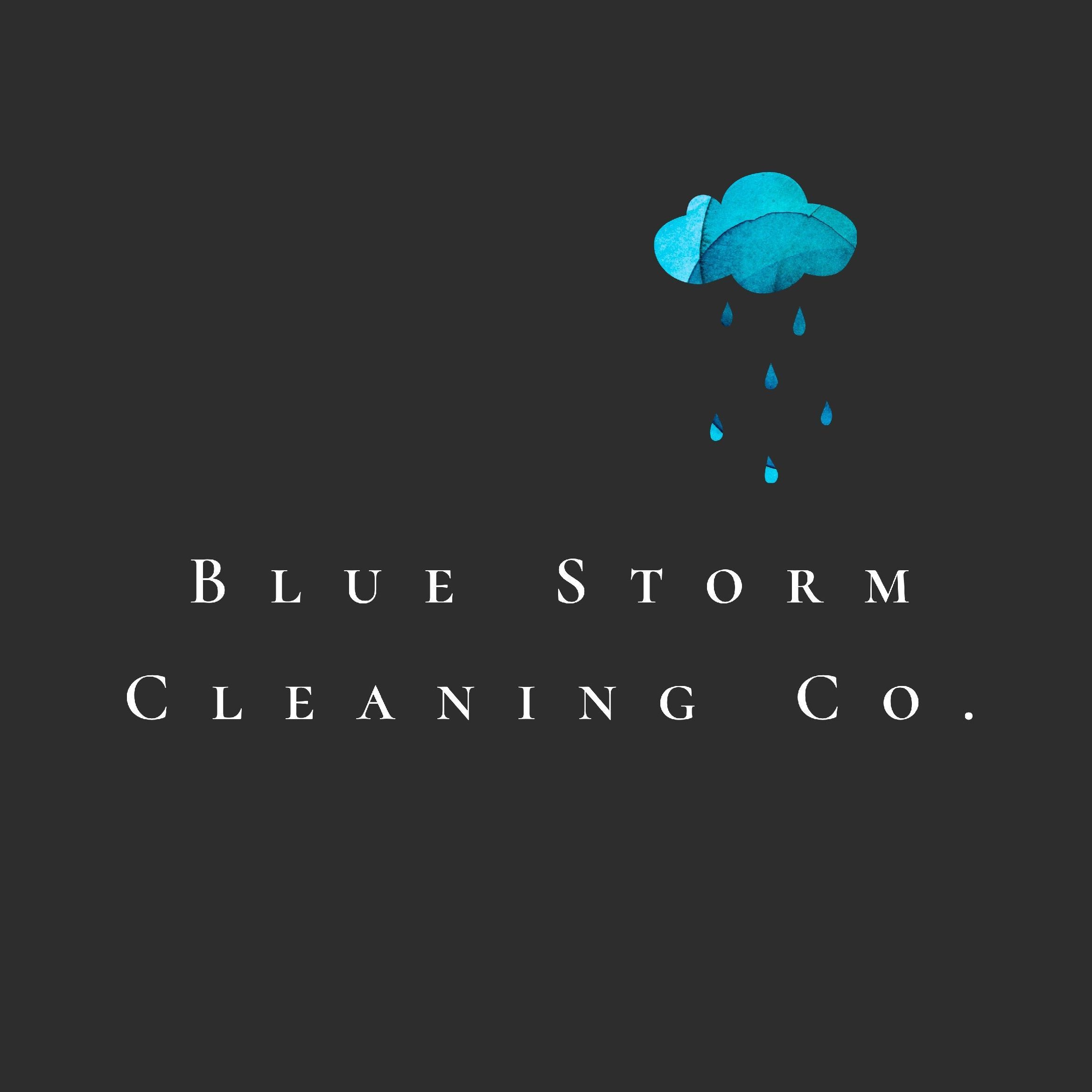 Blue Storm Cleaning Co., 7603 Nessen Rd, Thompsonville, 49683