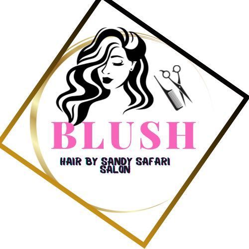 Blush Beauty Boutique & Hair By Sandy Safari Salon, 6400 South Eastern Ave, 11, 11, Las Vegas, 89119