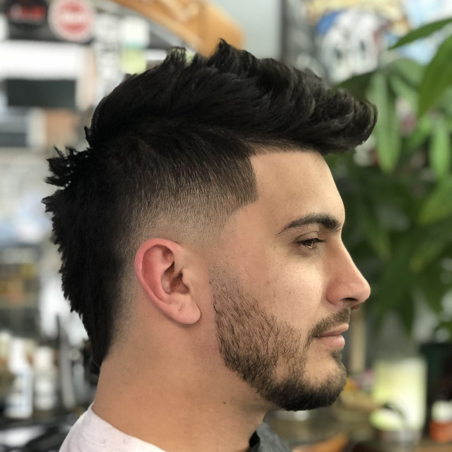 Haircut w/ Paul portfolio