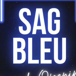 Sag Bleu Salon, 1100 Wicomico Street, Suite 1J, Baltimore, 21230