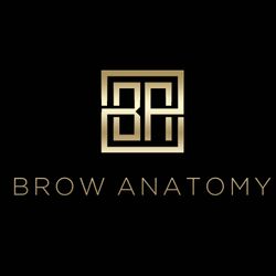 Brow Anatomy., 550 N Reo Street, Tampa, 33609