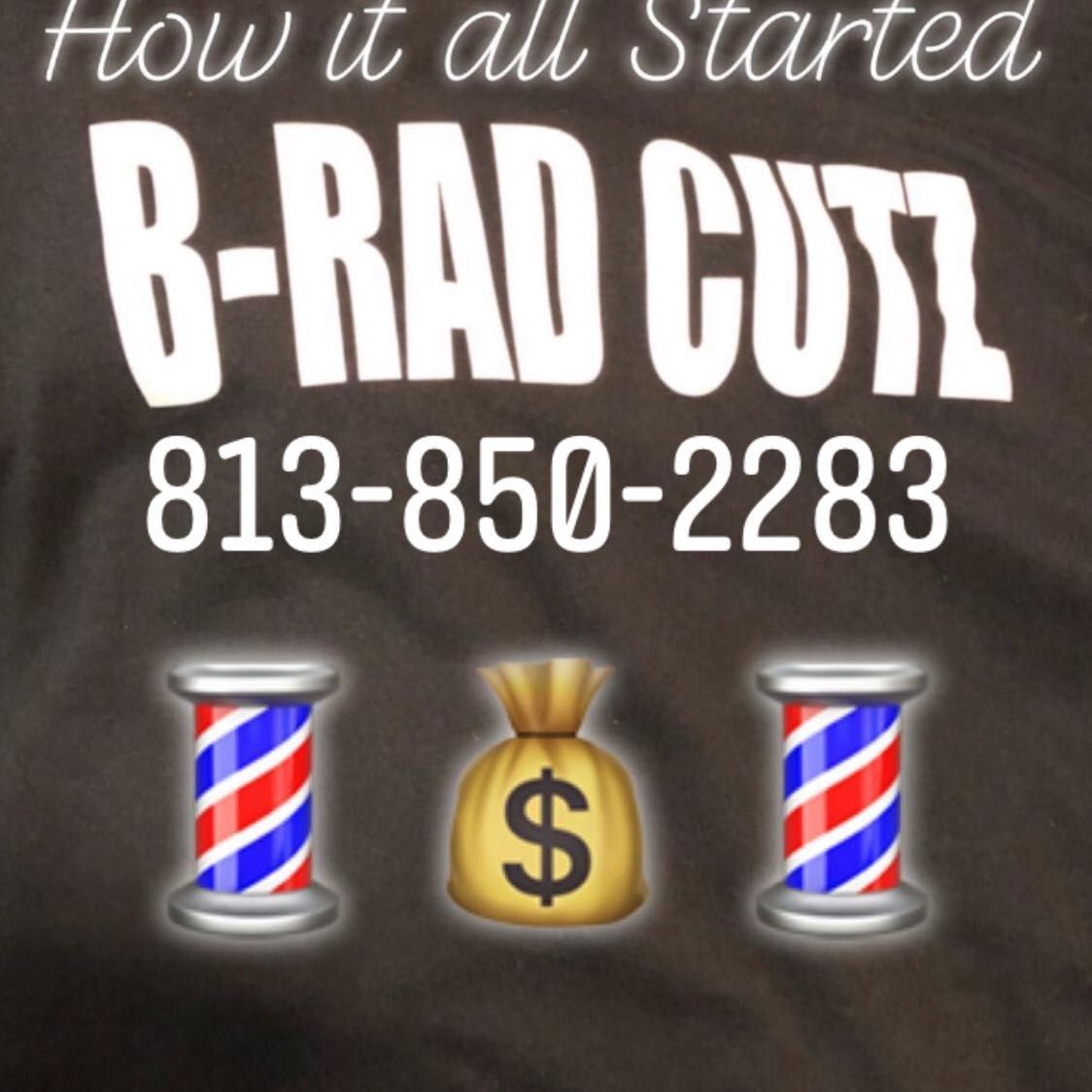 B-Radz Cutz, 463 North Us Hwy 41, Ruskin, 33570