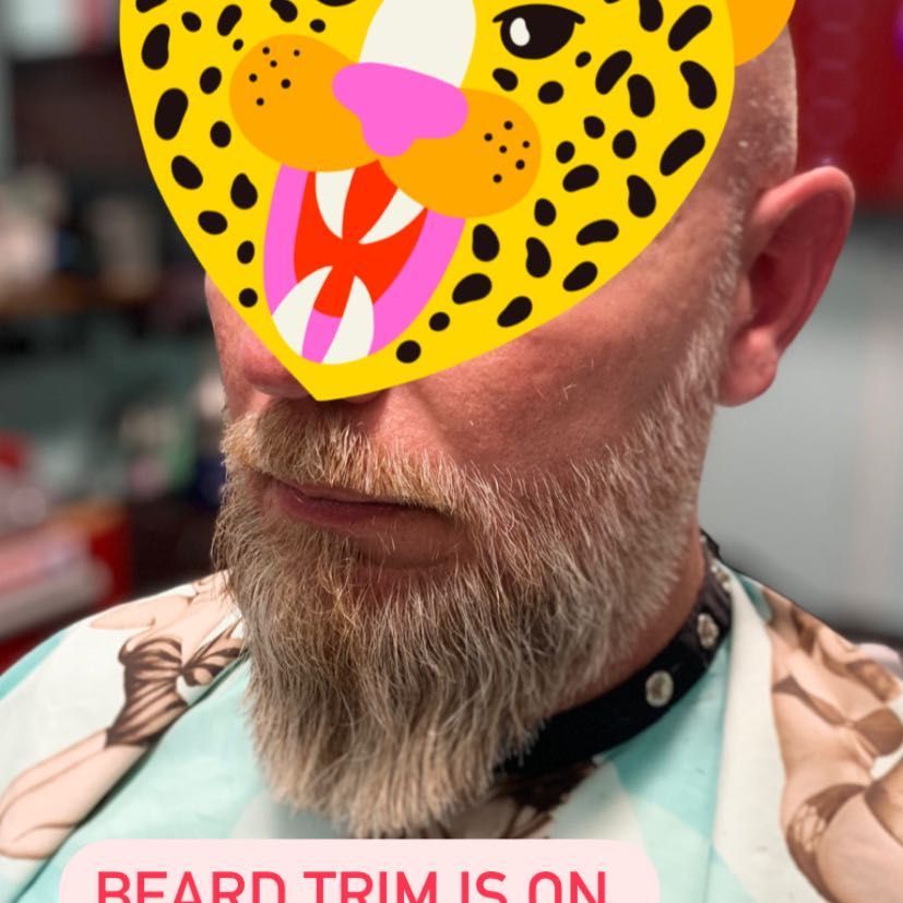 Detailed Beard Trim With Line Up portfolio