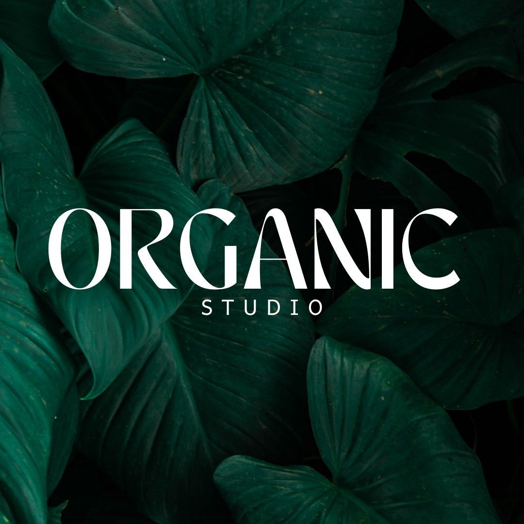 Organic Studio, 1651 Lombard St, San Francisco, 94123