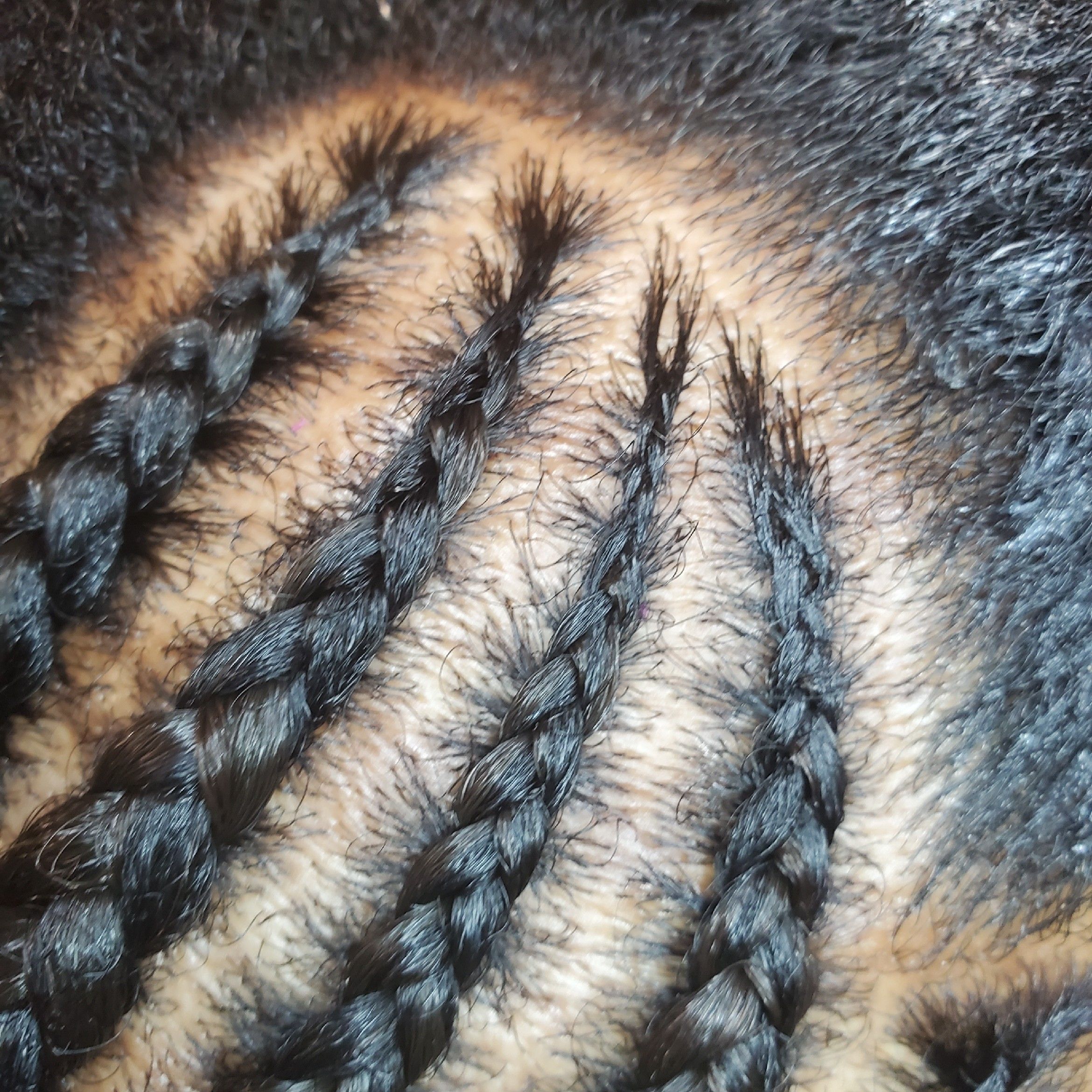 Feed In French Braids ( Large Straight Back) portfolio