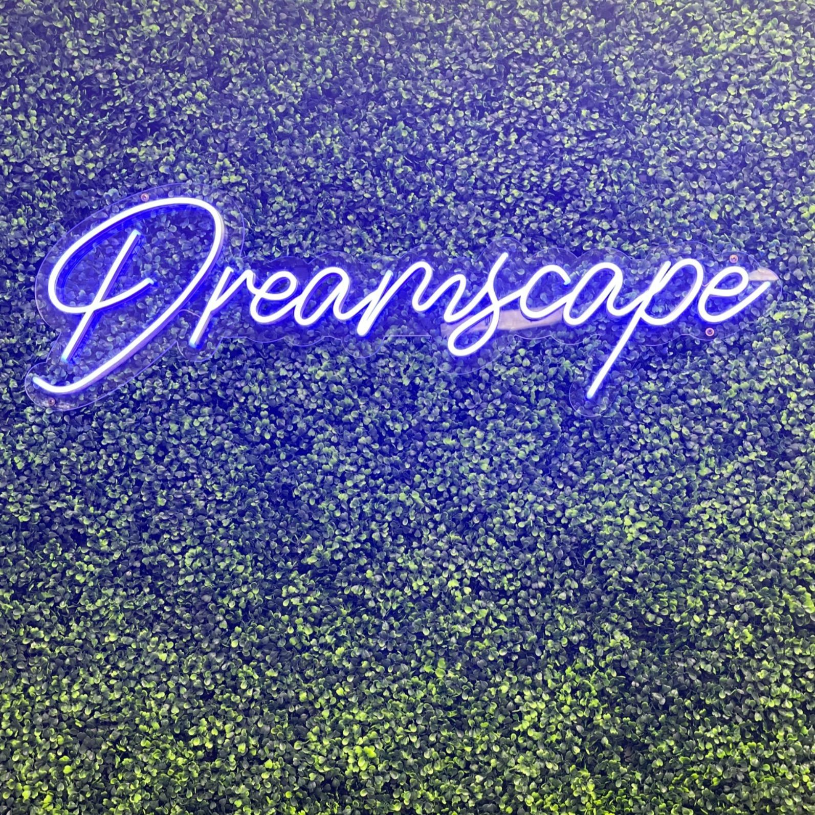 Dreamscape Salon, 2416 Manatee Ave East, Bradenton, 34208