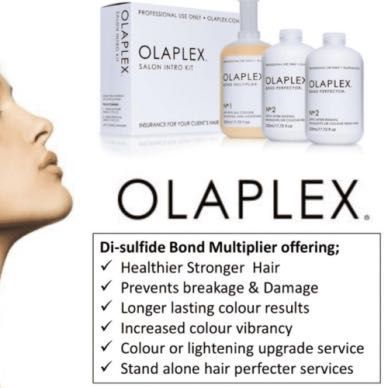 Olaplex ‘In Color Insurance Upgrade’ Treatment portfolio