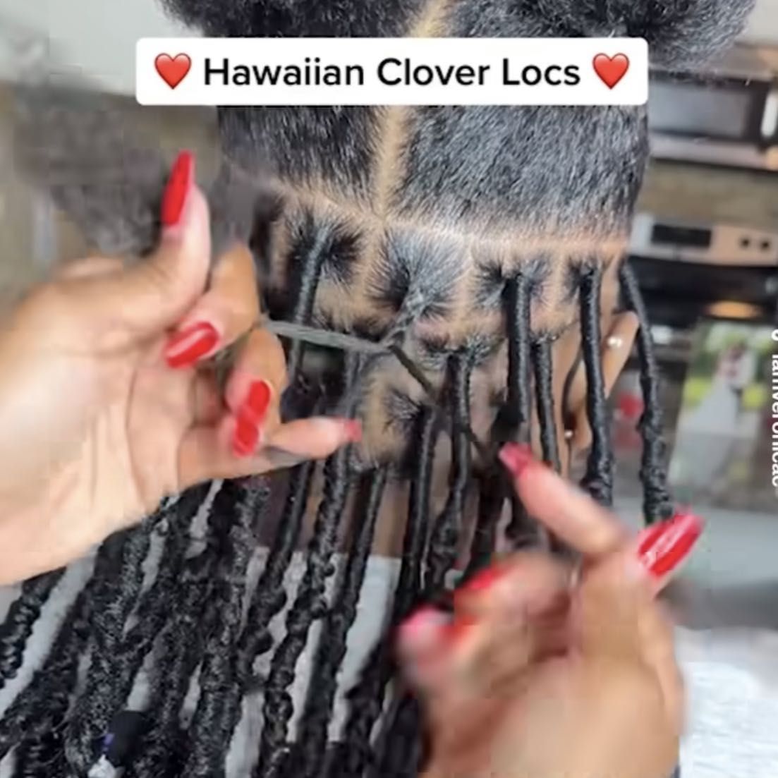￼ Hawaiian Clover Locs portfolio