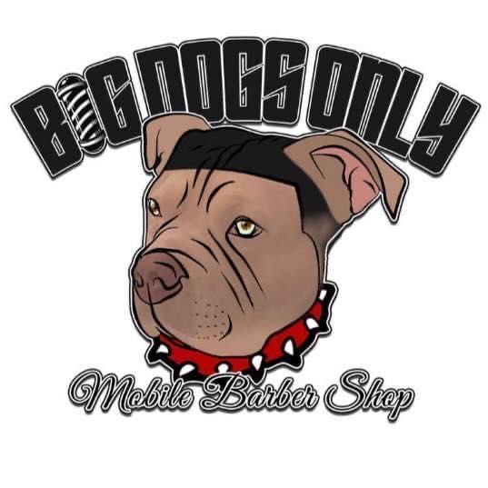 Big Dogs Only Barbershop, 4460 Culver Road, Rochester, 14622