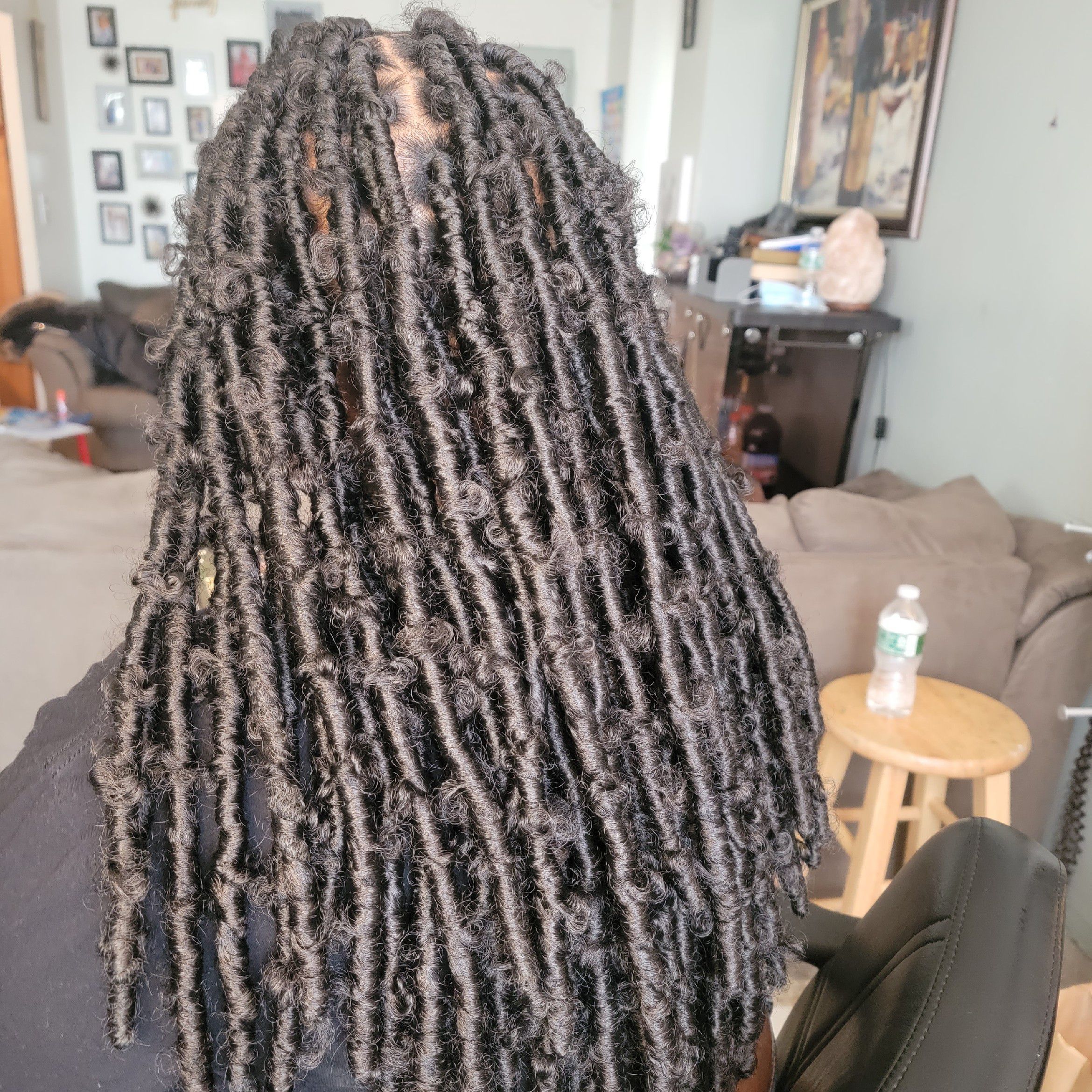 Butterfly locs mid back/hair included portfolio