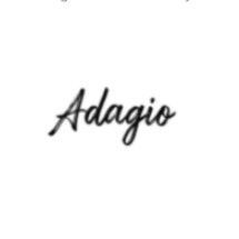 Adagio Style & Spa, 111 S Michigan Ave, Chicago, IL, 60603