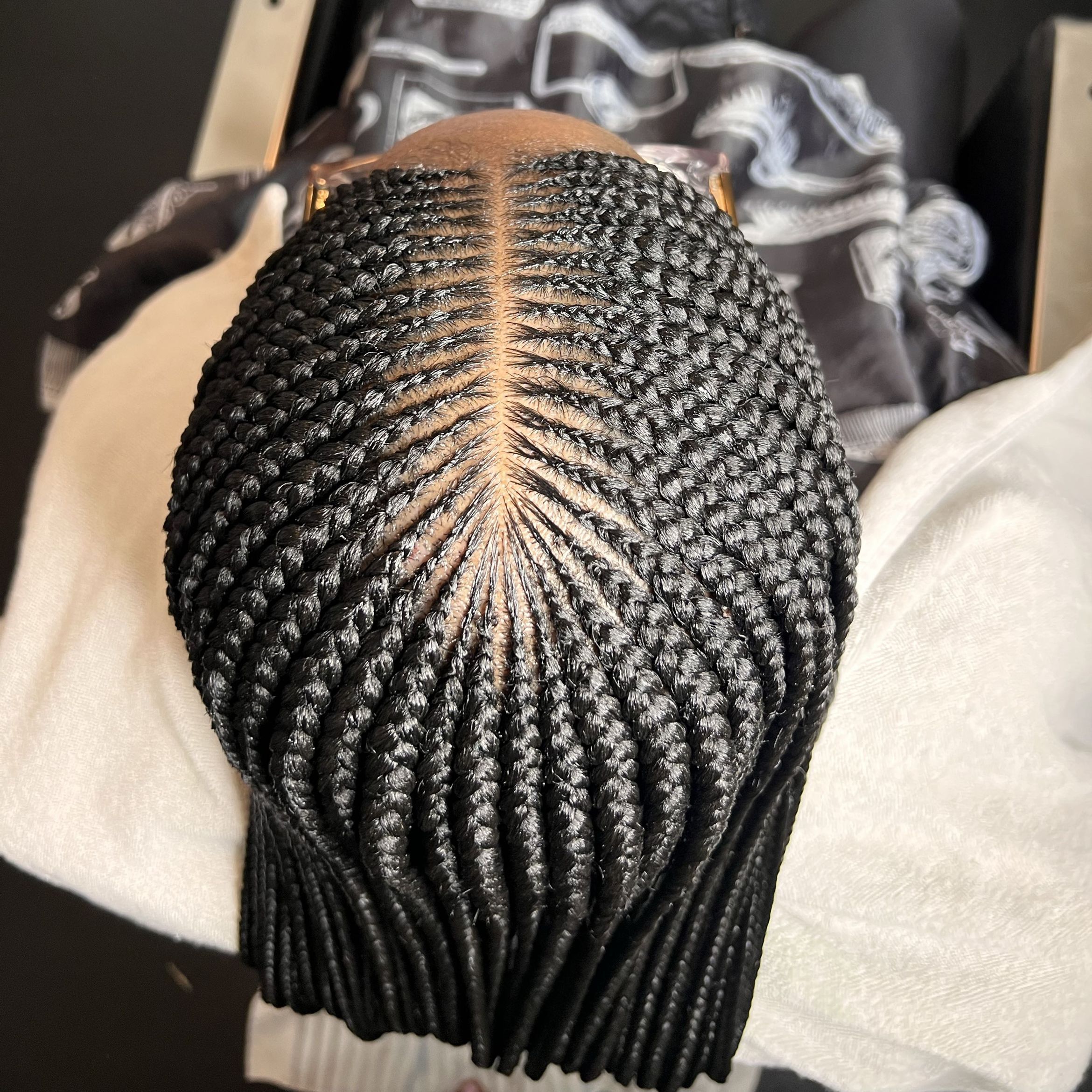 Fulani braids waist length portfolio