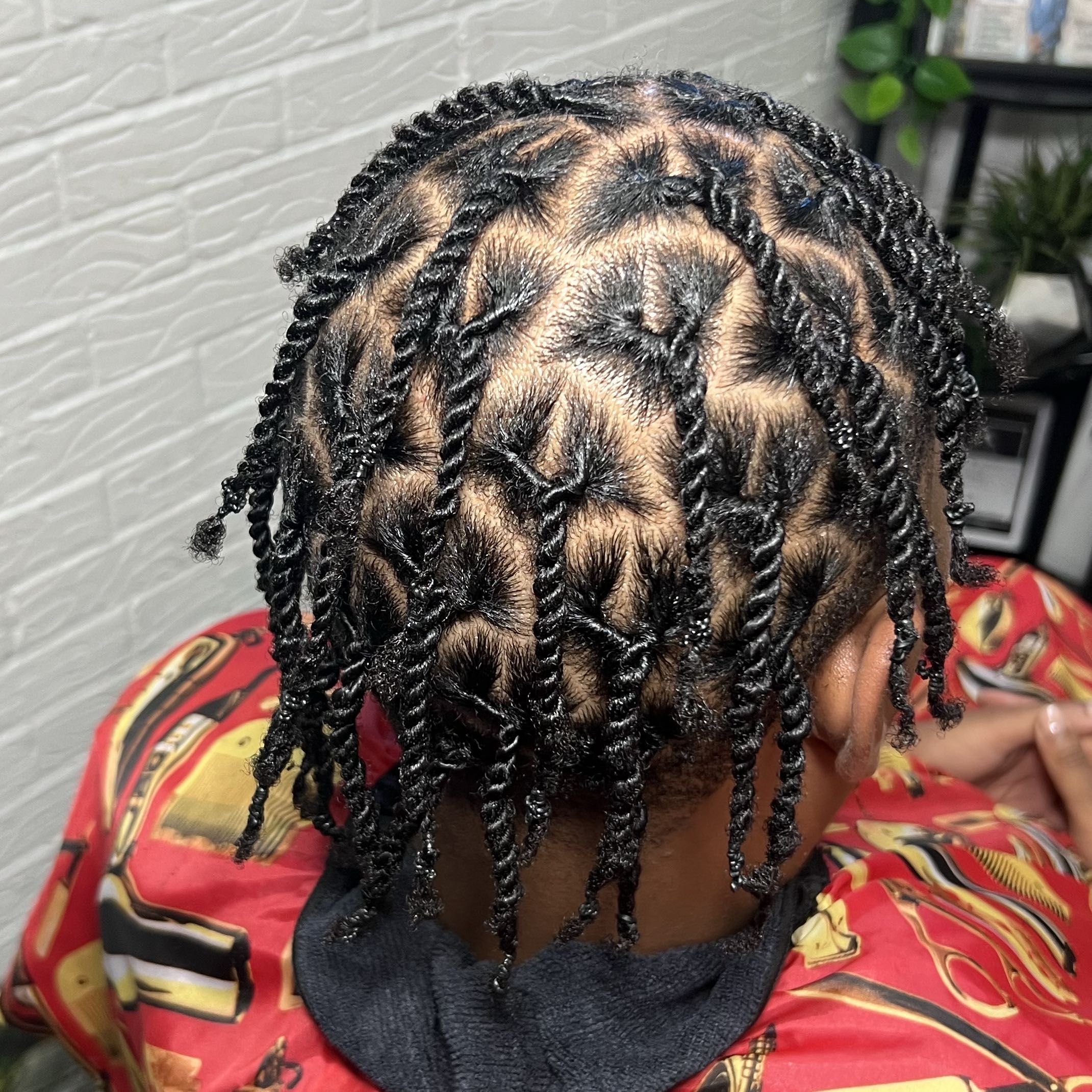 Natural hair (twists, Braids, Bantu Knots portfolio