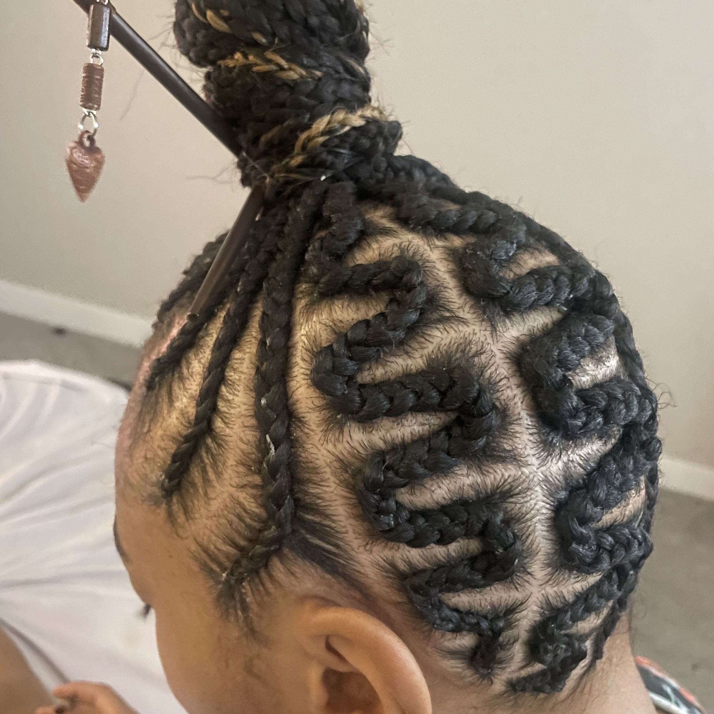 Braided into a ponytail-large portfolio