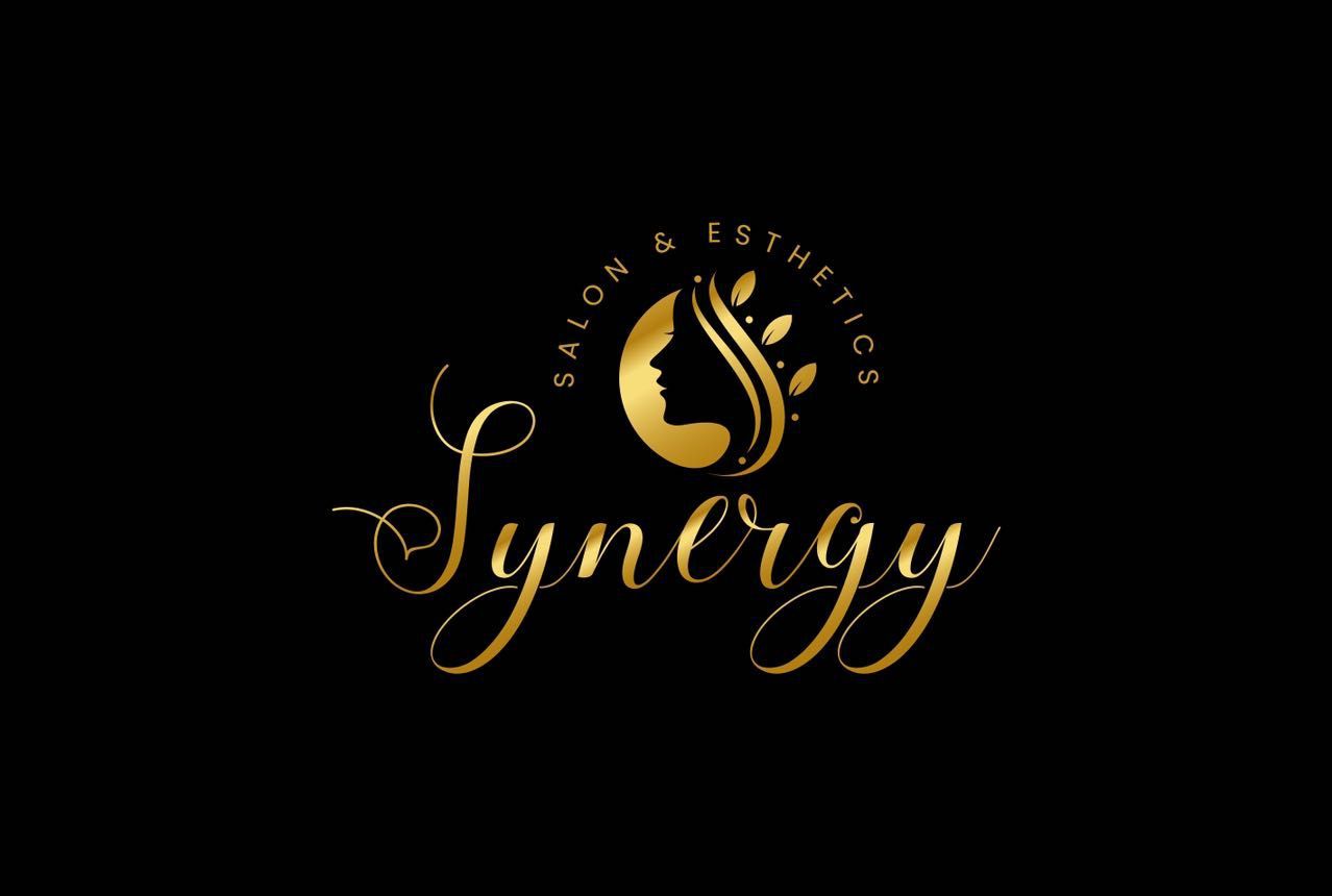 Synergy Salon & Esthetics, Paulina St, Chicago, 60620
